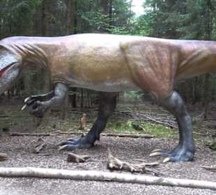 Dinosaurier Museum Altmühltal
