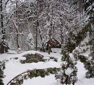 Замок дракулы