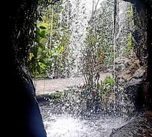 Botanischer Garten