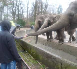 Tierpark