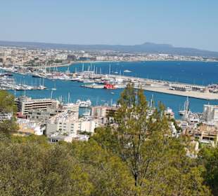 Hafen Palma de Mallorca
