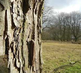 Naturschutzgebiet Boberger Niederung