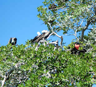Sian Ka'an Nationalpark