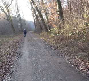 Schönbuch Schaichtal