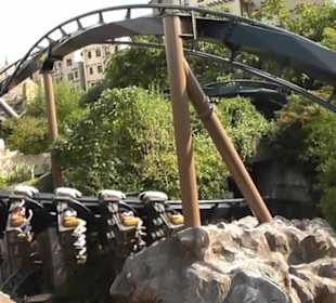 Deep in Africa - Black Mamba