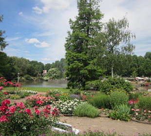 Rosengarten Zweibrücken