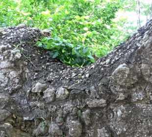 Burgruine Niederhaus