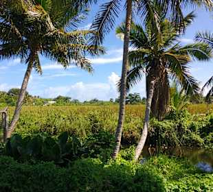  Stadtrundgang Cabarete	