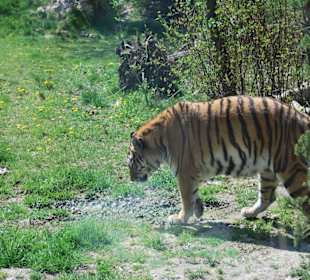 Mir ist sooo langweilig..