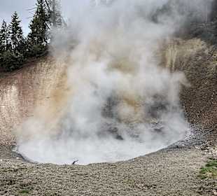 Yellowstone Nationalpark
