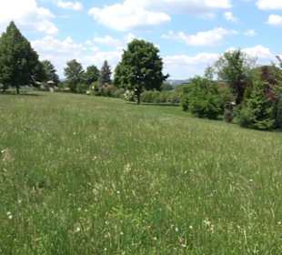 Kirche Liebfrauenhöhe Ergenzingen