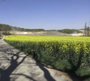 Hochgehsiedelt am Heidengraben