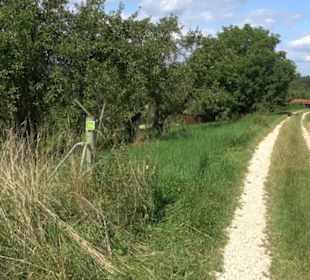 Hochgehnießen - Premiumspazierwanderweg
