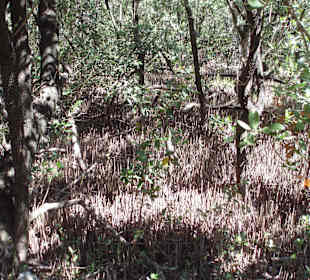 Unterwegs auf den Wanderwegen