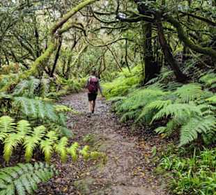 Mitten im Anaga-Gebirge