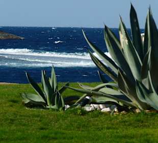 Coraya Bay im Winter