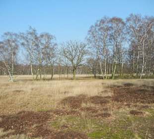 Wunderschöne Boberger Niederung