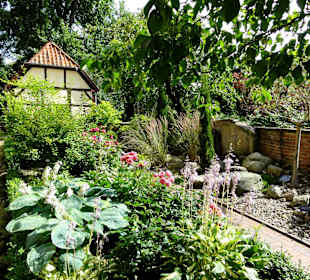 Impressionen aus dem Bibelgarten