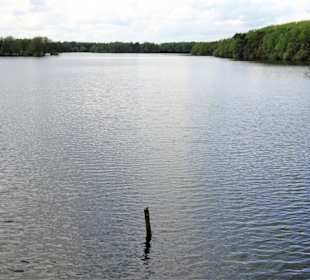 Eindrücke vom Rundgang um die Talsperre