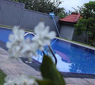 Pool der Villa Maria