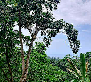 Parque Natural Obô do Príncipe
