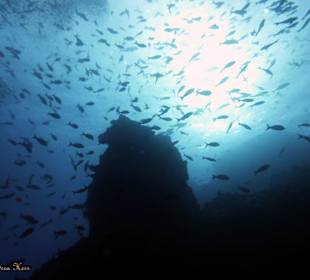 Tauchgangsimpressionen