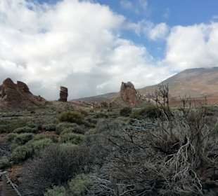 Im Nationalpark Teide
