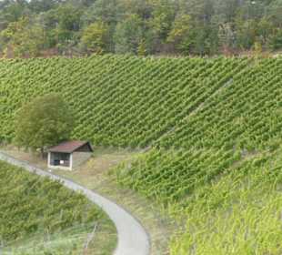 Weinbergswanderung Schoppen-Rundweg bei Ramsthal
