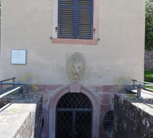 Bergbahn - Eindrücke rund ums Schloss