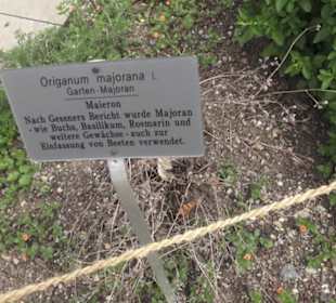 FIFA World Football Museum