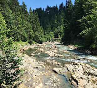 Wandern im Vogter-Altdorfer Wald