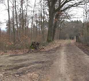 Unterjesinger Wengertwegle