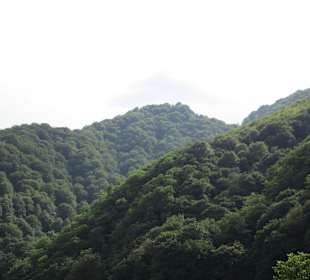 Valea Oltului / Olt-Tal 