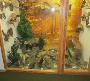 Stadt und Festungsmuseum Germersheim