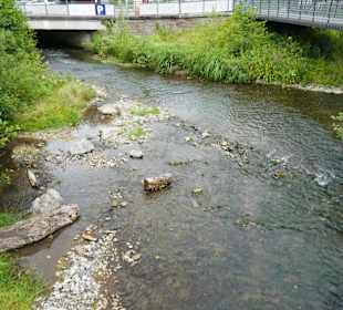 Die Düssel am Neandertal-Museum