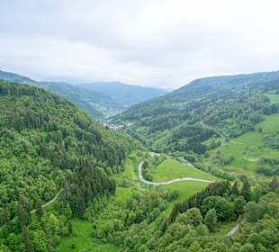 Ausblick