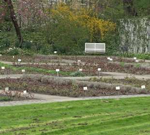 Zoologischer Stadtgarten