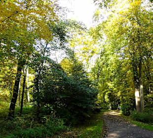 Herbstspaziergang durch den Bürgerpark Bremen
