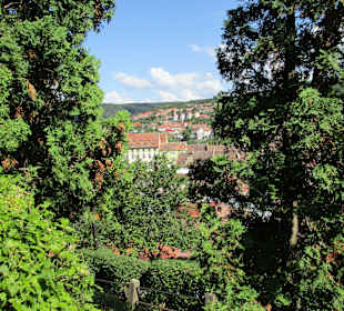 Altstadt Sighisoara/Schäßburg