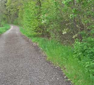 Naturerlebnisweg des NABU-Metzingen