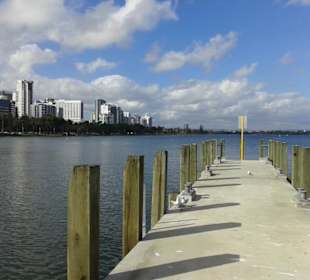 Swan River