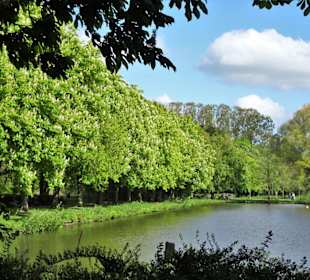 Impressionen vom Rundgang um die Gateteiche