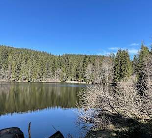 Wandern Hinterzarten