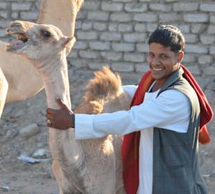 Kamelmarkt El Shalateen