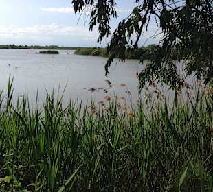 Kein Beton in Sichtweite