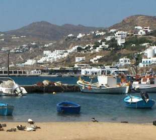 Il porto peschereccio