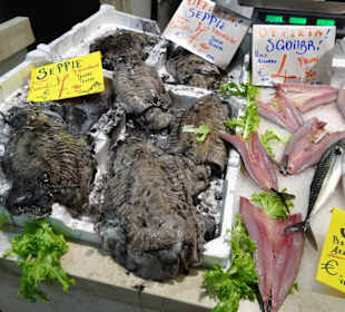 Rundgang durch den Mercato Civico di San Benedetto