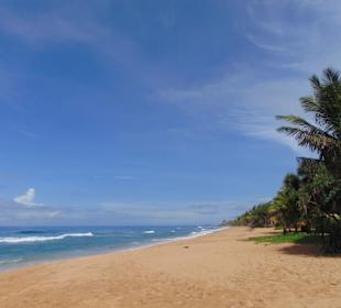 Induruwa Beach