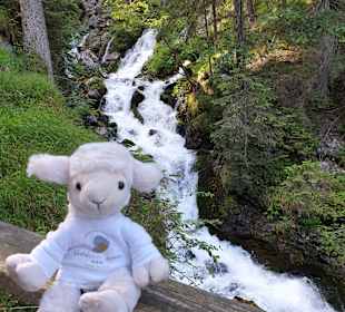 Wandern Weißenbach am Lech