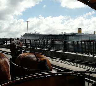 Stadtrundfahrt mit dem Pferdewagen